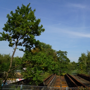 Park am Gleisdreieck, Flaschenhalspark, Yorckbrücken